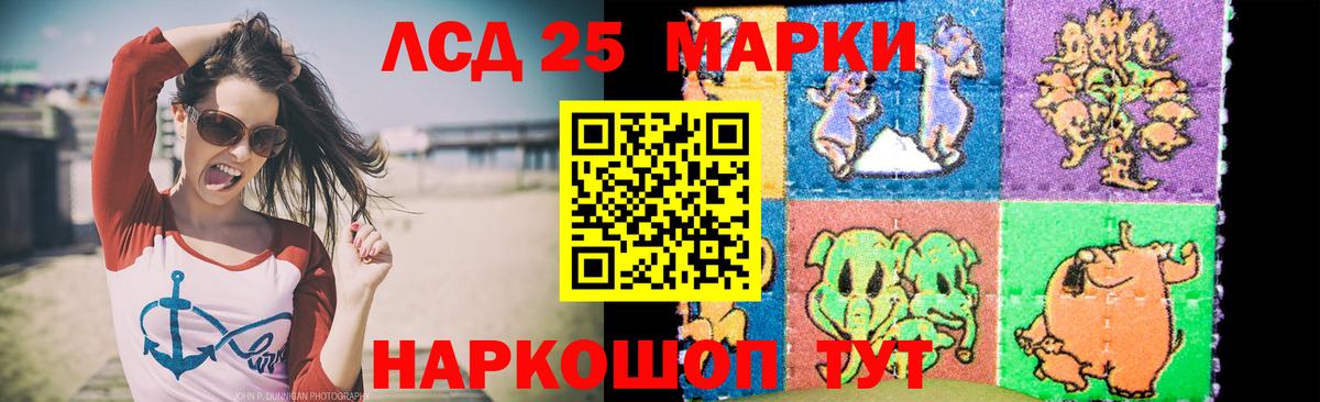   как войти  Вход с VPN  Нефтекумск  ЛСД экстази кислота 