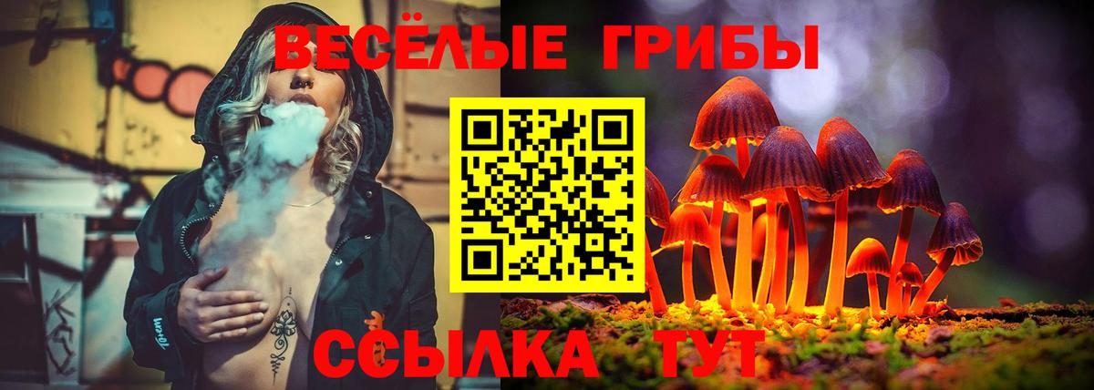 Нефтекумск  Псилоцибиновые грибы Psilocybe  Псилоцибиновые грибы Cubensis  Вход с VPN 