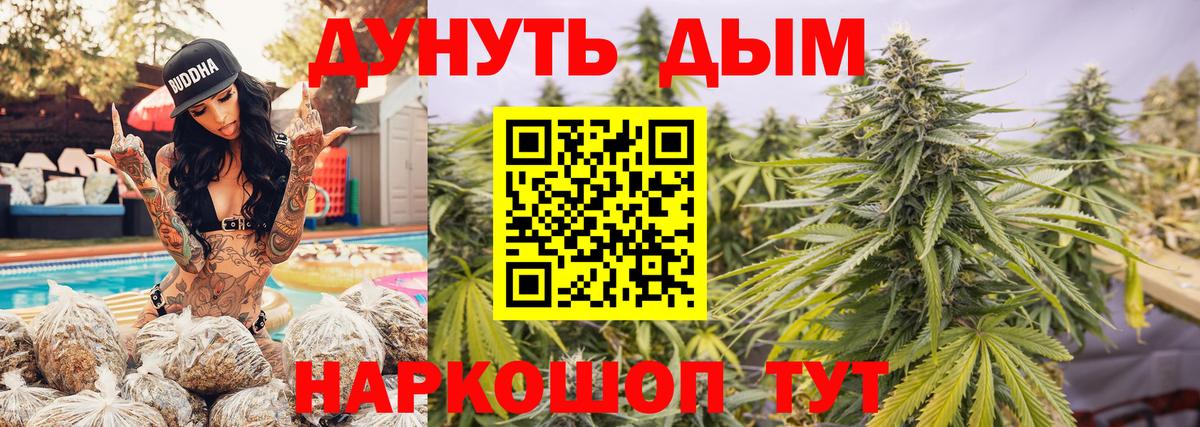 Каннабис ГИДРОПОН Нефтекумск
